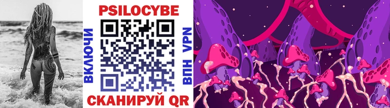 blacksprut ONION Александров Псилоцибиновые грибы мухоморы закладки
