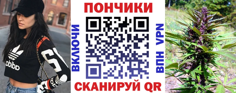 где купить наркоту  Александров  Канабис Bruce Banner 